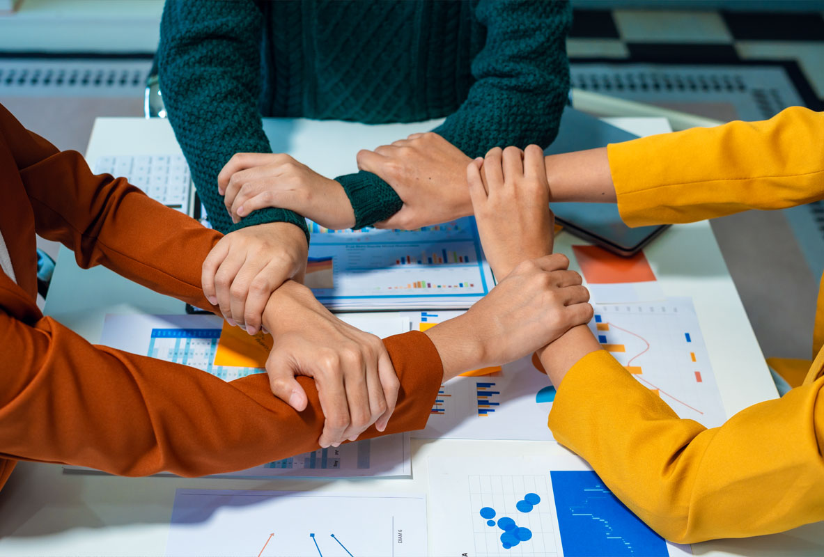 Purpose-Strategie-Struktur