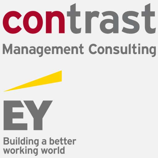 Contrast Ernst & Young Management Consulting